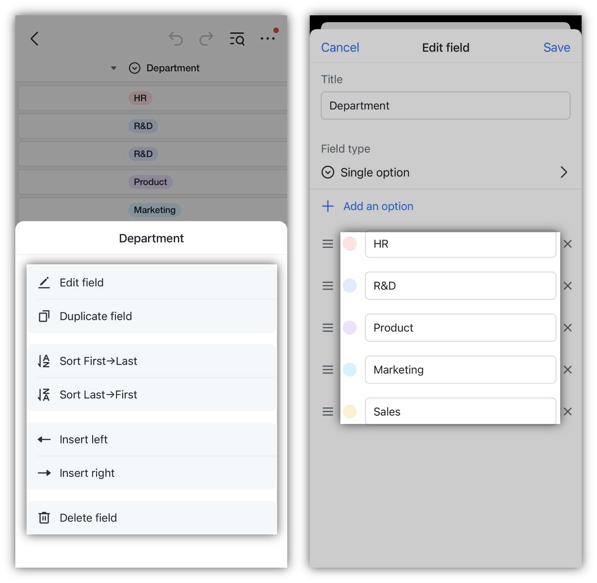 apply-color-tags-when-using-single-option-and-multiple-options-fields