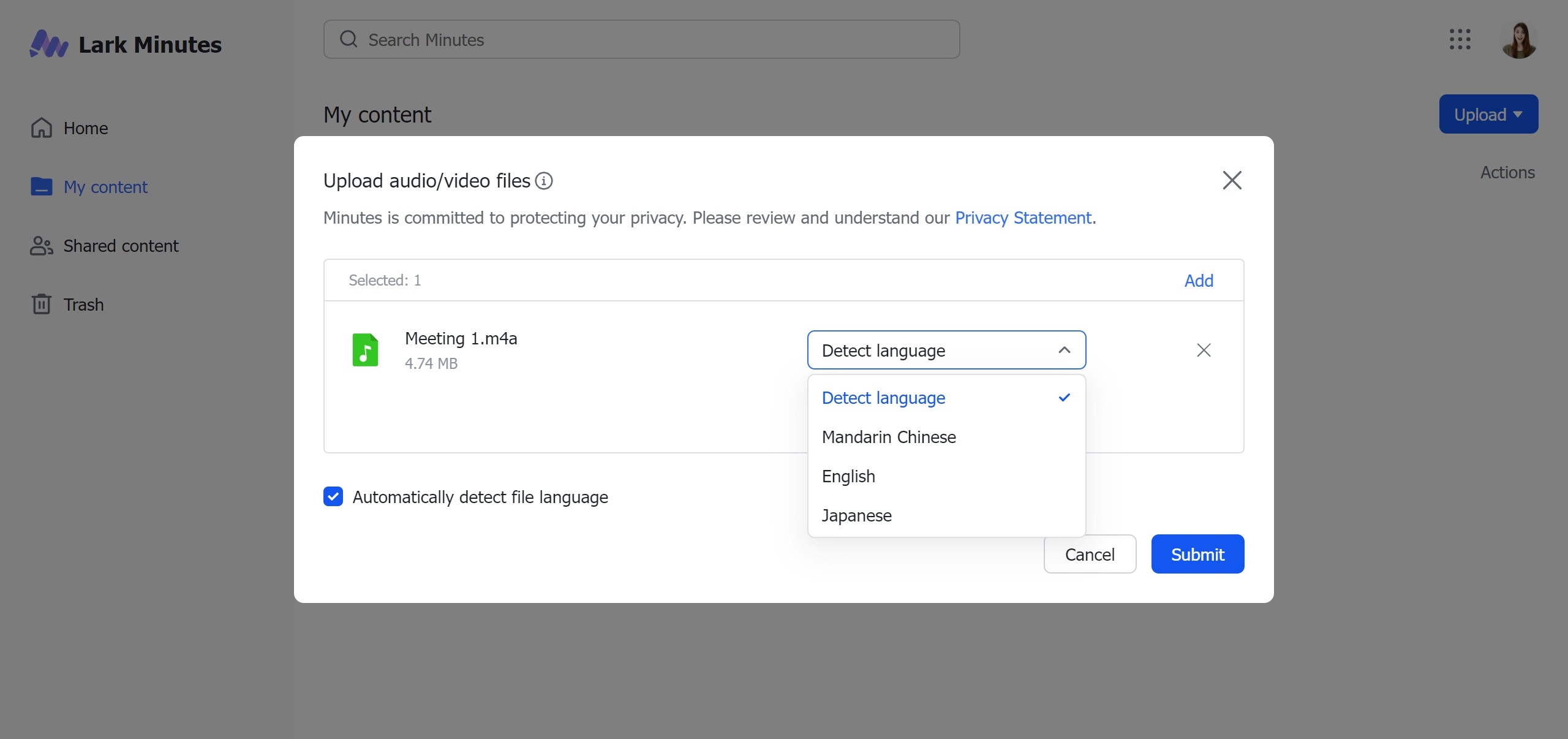 Generate Meeting Minutes
