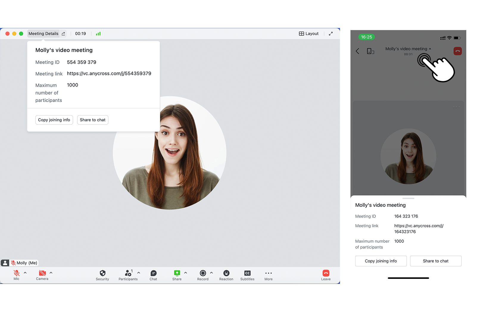 Start or join a meeting with Lark Rooms