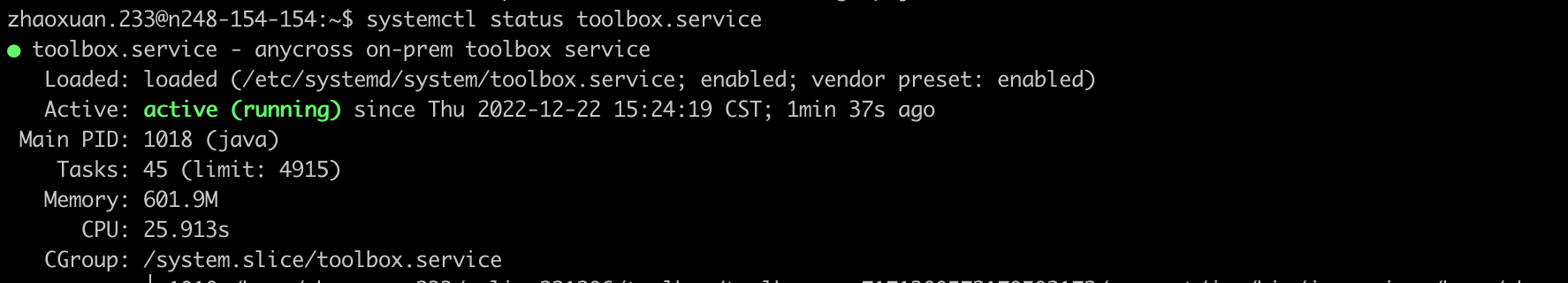 Deploy On-prem Service (Linux)
